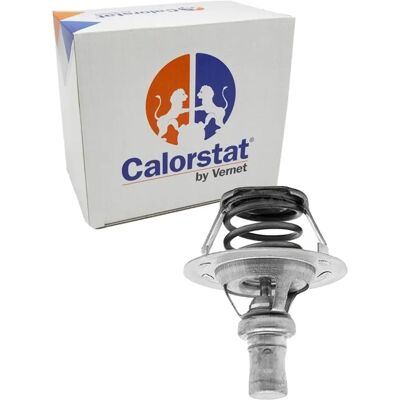 Vernet Thermostat 91°C mit Dichtung - Thermostat für Renault 19 Clio Rapid Vernet Thermostat 91°C mit Dichtung - Thermostat für Renault 19 Clio Rapid