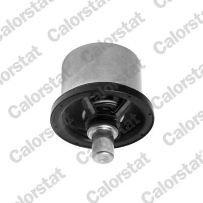 Vernet Termostato - 73mm per Renault Trucks, Porsche - Termostato Vernet Termostato - 73mm per Renault Trucks, Porsche - Termostato