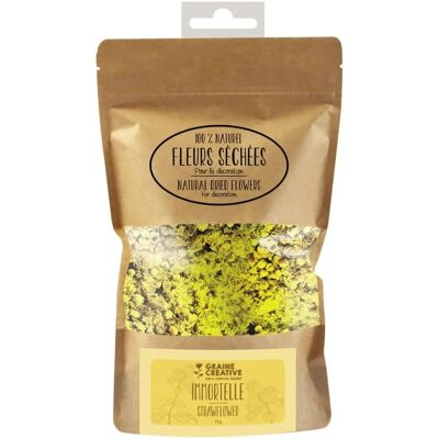 Fleurs Séches Jaunes de Seed Creative - Décoration pour Bougies & Maison - Publicité Fleurs Séches Jaunes de Seed Creative - Décoration pour Bougies & Maison - Publicité