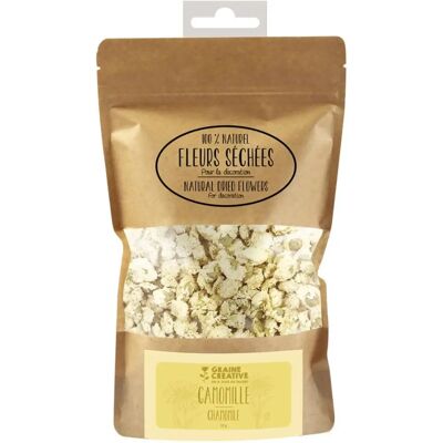 Graine Créative Fleurs Décoratives Camomille - 10g - Décor - Publicité Graine Créative Fleurs Décoratives Camomille - 10g - Décor - Publicité