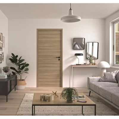 Bloc Porte OPTIMUM - Revêtement Spécial BARBADE - H 204 x 73 x 4 cm Bloc Porte OPTIMUM - Revêtement Spécial BARBADE - H 204 x 73 x 4 cm