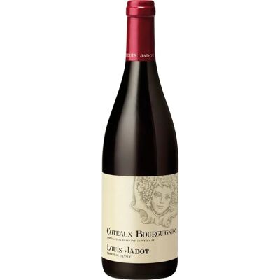 Louis Jadot Coteaux Bourguignons Rouge 2021 - Rotwein Louis Jadot Coteaux Bourguignons Rouge 2021 - Rotwein