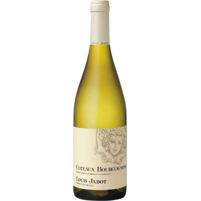 Louis Jadot Coteaux Bourguignons 2021 - Weißwein Louis Jadot Coteaux Bourguignons 2021 - Weißwein