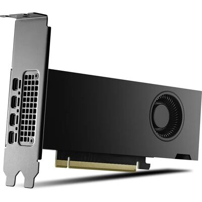 PNY RTX2000 - 16 GB GDDR6 - Grafikkarte PNY RTX2000 - 16 GB GDDR6 - Grafikkarte