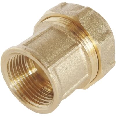 Somatherm for you Messing rechte koppeling voor PE Ø25mm - 3/4" - Slangaansluiting Somatherm for you Messing rechte koppeling voor PE Ø25mm - 3/4" - Slangaansluiting