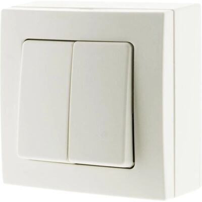 Witte Hbf Dubbele Schakelaar 10A - Opbouw - Producttype Witte Hbf Dubbele Schakelaar 10A - Opbouw - Producttype