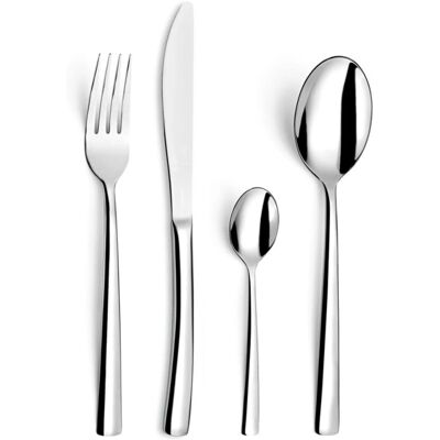 Ensemble de 49 couverts Amefa Havane - Ustensiles Cuisine - Publicité Ensemble de 49 couverts Amefa Havane - Ustensiles Cuisine - Publicité