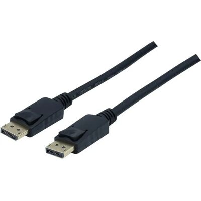 Générique DisplayPort 1.1 Kabel - 1 m Générique DisplayPort 1.1 Kabel - 1 m