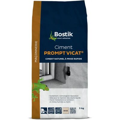 Ciment Bostik Vicat à Prise Rapide - 5kg Ciment Bostik Vicat à Prise Rapide - 5kg