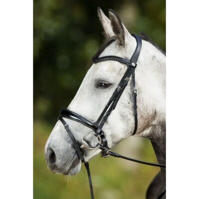 HFI Luxe Reithalfter - Schwarz - Cob HFI Luxe Reithalfter - Schwarz - Cob