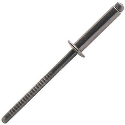 Rivet Standard Tête Plate Inox A2 - 4 x 12 mm Rivet Standard Tête Plate Inox A2 - 4 x 12 mm