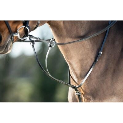 HFI Martingal - Schwarz - Pony - Martingal HFI Martingal - Schwarz - Pony - Martingal