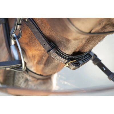 HFI Soft Trense - Anatomisch, Weiches Leder, Messing-Schnallen - Reitausrüstung HFI Soft Trense - Anatomisch, Weiches Leder, Messing-Schnallen - Reitausrüstung