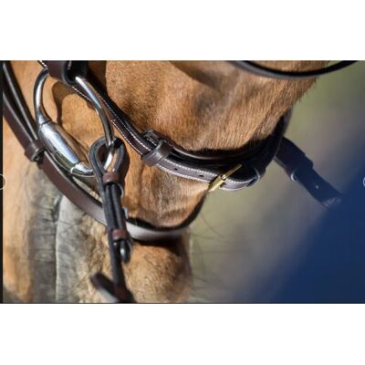 HFI Elegant Reithalfter - Anatomisch, Lederfutter, Bestickt HFI Elegant Reithalfter - Anatomisch, Lederfutter, Bestickt