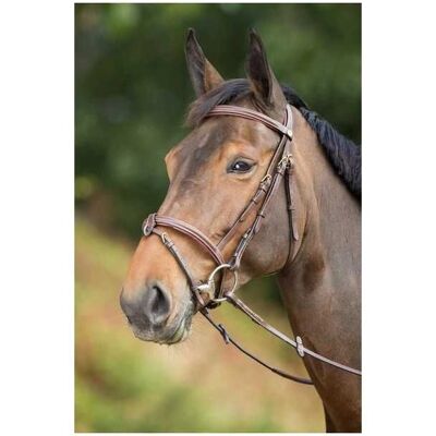 HFI Pferdebrille - Anatomisch, Gepolstert, Umwandelbar - Pferdebridles HFI Pferdebrille - Anatomisch, Gepolstert, Umwandelbar - Pferdebridles