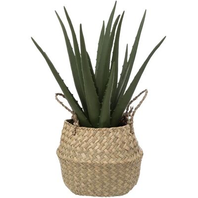 Plante artificielle Aloe Vera Atmosphera - Vert - Plante Artificielle - Publicité Plante artificielle Aloe Vera Atmosphera - Vert - Plante Artificielle - Publicité