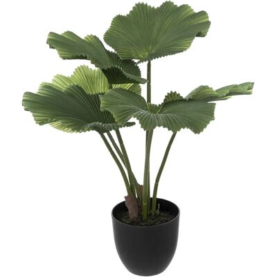 Plante artificielle Atmosphera - 62x65 cm, Vert, Modèle 189127 - Plante Artificielle - Publicité Plante artificielle Atmosphera - 62x65 cm, Vert, Modèle 189127 - Plante Artificielle - Publicité