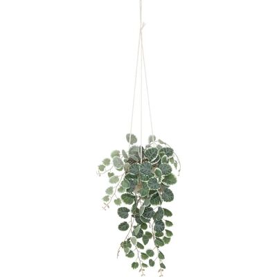 Atmosphera 193710 Plante Artificielle - Blanc - Décor Suspendu - 80cm - Publicité Atmosphera 193710 Plante Artificielle - Blanc - Décor Suspendu - 80cm - Publicité