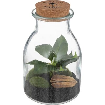 Atmosphera 193718 Plante Artificielle - Terrarium en Verre, 19,5cm - Publicité Atmosphera 193718 Plante Artificielle - Terrarium en Verre, 19,5cm - Publicité