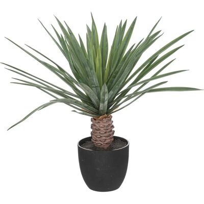 Atmosphera Rivi Künstliche Palme - Realistischer Tropischer Look Atmosphera Rivi Künstliche Palme - Realistischer Tropischer Look