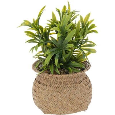 ATMOSPHERA Künstliche Pflanze - Beige, 20cm, Dekogrün - Wohndekor ATMOSPHERA Künstliche Pflanze - Beige, 20cm, Dekogrün - Wohndekor