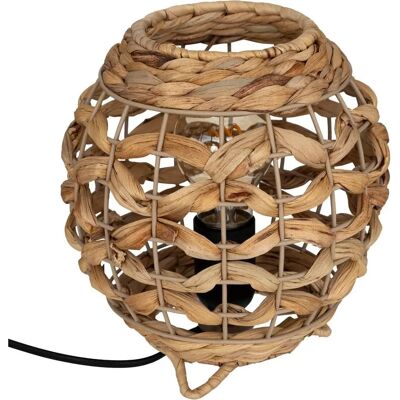 Lampa Jacinto Wodny Kwiat - Lampa Lampa Jacinto Wodny Kwiat - Lampa