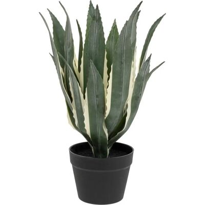 Atmosphera Sztuczna Agawa w Doniczce - Wysokość 55cm - Zielona Atmosphera Sztuczna Agawa w Doniczce - Wysokość 55cm - Zielona