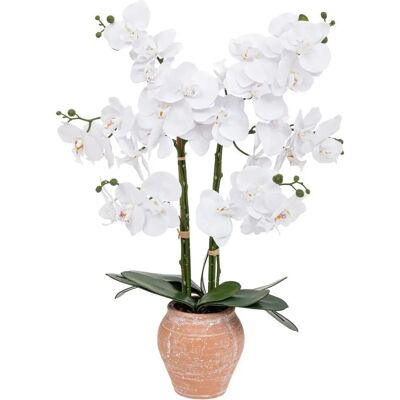 Atmosphera Orchidée Artificielle Dena - 65cm, Rose Terracotta - Orchidée pour Intérieur - Publicité Atmosphera Orchidée Artificielle Dena - 65cm, Rose Terracotta - Orchidée pour Intérieur - Publicité