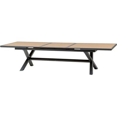 Table de jardin AXIOME Hespéride - Extensible, 12 places - Publicité Table de jardin AXIOME Hespéride - Extensible, 12 places - Publicité
