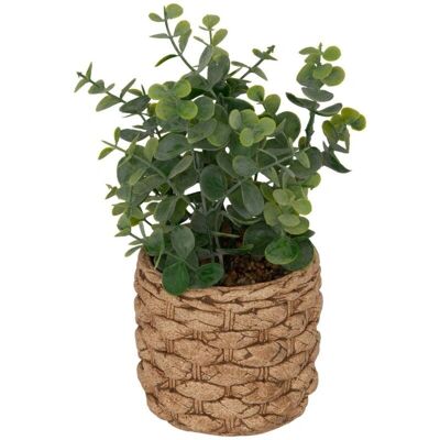 Atmosphera Eucalyptus Artificiel Jaye - 27cm - Multicolore - Plante d'eucalyptus artificielle - Publicité Atmosphera Eucalyptus Artificiel Jaye - 27cm - Multicolore - Plante d'eucalyptus artificielle - Publicité
