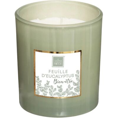 Bougie parfumée Atmosphera Mael Eucalyptus - 190g Bougie parfumée Atmosphera Mael Eucalyptus - 190g