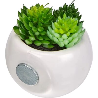 Atmosphera Mini Dekorative Pflanze Magnet - Deko Typ Atmosphera Mini Dekorative Pflanze Magnet - Deko Typ