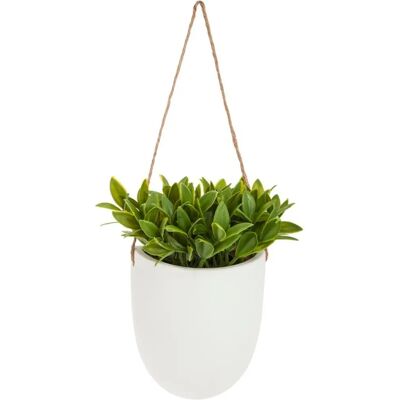 Atmosphera Pianta da Parete H20 - Decorazione Moderna Atmosphera Pianta da Parete H20 - Decorazione Moderna