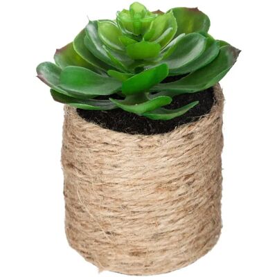 Pianta Artificiale Atmosphera - Stile Etnico Chic - 16cm Pianta Artificiale Atmosphera - Stile Etnico Chic - 16cm