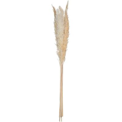 Plante Artificielle Atmosphera - Beige - 66,5cm - Plante Artificielle - Publicité Plante Artificielle Atmosphera - Beige - 66,5cm - Plante Artificielle - Publicité
