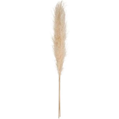 Plante Artificielle Atmosphera - 3 Pampas Séchées - 109cm - Publicité Plante Artificielle Atmosphera - 3 Pampas Séchées - 109cm - Publicité