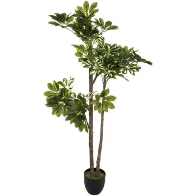Plante Artificielle Atmosphera Schefflera - Blanc, Bordeaux, Vert - Intérieur/Extérieur - Publicité Plante Artificielle Atmosphera Schefflera - Blanc, Bordeaux, Vert - Intérieur/Extérieur - Publicité