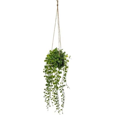 Atmosphera Künstliche Pflanze - Hängend, Zementtopf, 62cm Atmosphera Künstliche Pflanze - Hängend, Zementtopf, 62cm