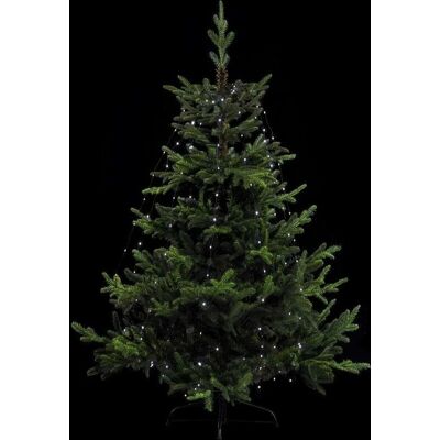 FEERIC LIGHTS & CHRISTMAS Bianco freddo 170 MicroLEDs - Luci di Natale FEERIC LIGHTS & CHRISTMAS Bianco freddo 170 MicroLEDs - Luci di Natale