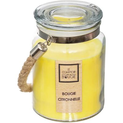Bougie parfumée anti-insecte Atmosphera - Cire, 500g - Publicité Bougie parfumée anti-insecte Atmosphera - Cire, 500g - Publicité