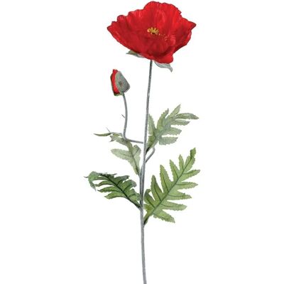 Atmosphera Tige de coquelicot artificiel - 70cm - Fleurs décoratives - Publicité Atmosphera Tige de coquelicot artificiel - 70cm - Fleurs décoratives - Publicité