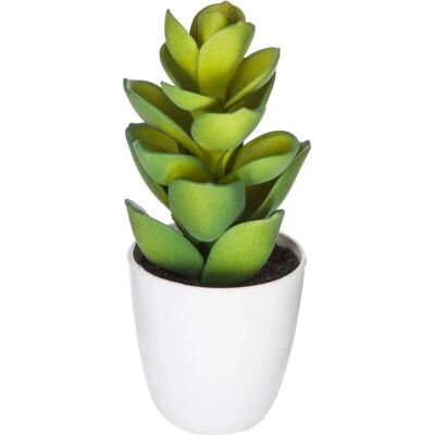 ATMOSPHERA Pianta succulenta e cactus H18cm - Modello interno ATMOSPHERA Pianta succulenta e cactus H18cm - Modello interno