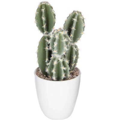 ATMOSPHERA Modello d pianta succulenta e cactus - Decorazione interna ATMOSPHERA Modello d pianta succulenta e cactus - Decorazione interna