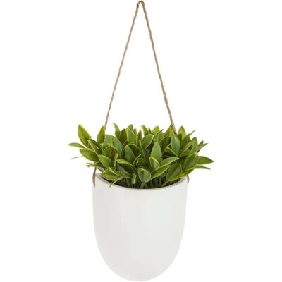 Pianta artificiale sospesa Atmosphera - Vaso in ceramica - Modelli 1-3 Pianta artificiale sospesa Atmosphera - Vaso in ceramica - Modelli 1-3