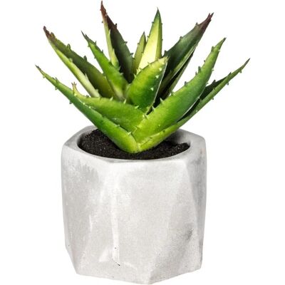 Pianta Artificiale Atmosphera - Succulenta in Vaso di Cemento Pianta Artificiale Atmosphera - Succulenta in Vaso di Cemento
