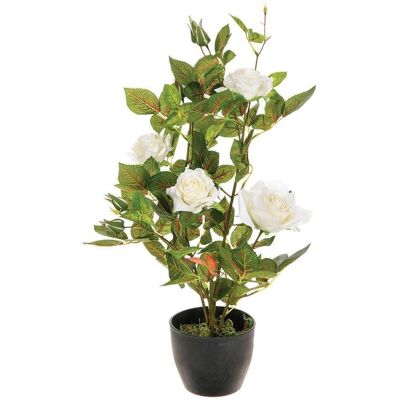 Plante Rose Artificielle Atmosphera - 50cm, Blanc/Bordeaux - Décor - Publicité Plante Rose Artificielle Atmosphera - 50cm, Blanc/Bordeaux - Décor - Publicité