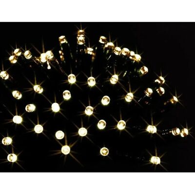 FEERIC LIGHTS - Ghirlanda progressiva all aperto bianca 48led - Bianco - garland - Publicité FEERIC LIGHTS - Ghirlanda progressiva all aperto bianca 48led - Bianco - garland - Publicité