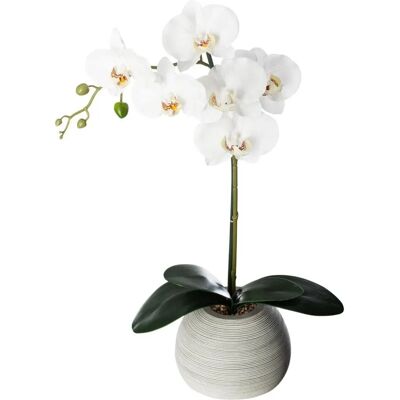 Atmosphera Model 160018 Umělá Rostlina - Umělá Orchidej v Cementové Květináči Atmosphera Model 160018 Umělá Rostlina - Umělá Orchidej v Cementové Květináči