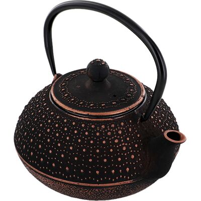 Aromandise Sui støpejerns tepotter - 0,8 L Svart Aromandise Sui støpejerns tepotter - 0,8 L Svart