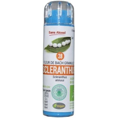 Bach Original Scleranthus - Remède homéopathique - Publicité Bach Original Scleranthus - Remède homéopathique - Publicité